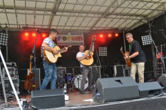 Kultu-im-Hain-Die-Igels-1